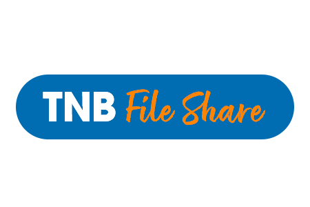 Tnb share